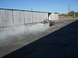 darn cat showing off again!-wild-cat-burnout-007.jpg