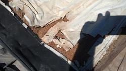 Convertible top replacement-2012-10-01_15-21-21_793.jpg