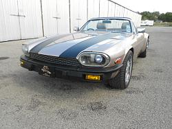 my work in progress :) some help wanted!-jag-strips-10-22-2012-001.jpg