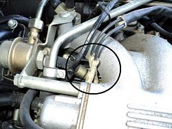 What is this?-dsc00080.jpg