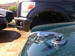Selling XJS leaper-null_zpsc1a28d19.jpg