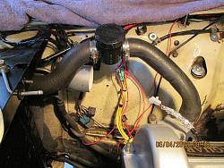 radiator hose rerouting-radiator-hose-left.jpg