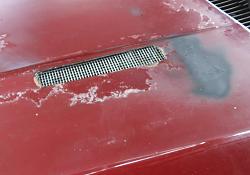 Custom Grille?-dscf0030.jpg