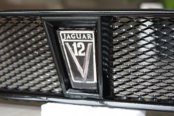 custom front + fog lights-img_3581.jpg