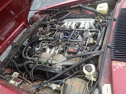 Looking at a 88 XJS at auction want some input.-image.jpg