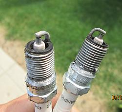 V12 getting too much fuel-spark-plugs.jpg