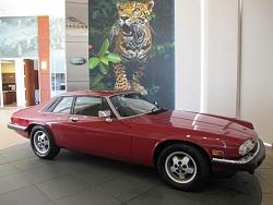 shopping-xjs1.jpg