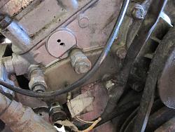 C37925-img_0238.jpg
