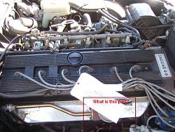 what is this part?-jaguar-engine.jpg