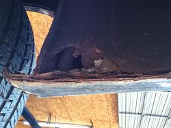 XJS Rust Repair Question-fender.jpg