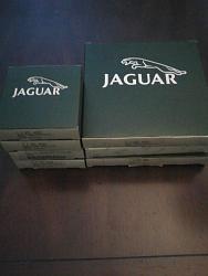 Coach line (pin stripe) for '88 XJ-S-jaguarboxes.jpg