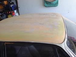 Cougs' 1980 XJS Project Thread-1477706_10201652946538165_89536940_n.jpg