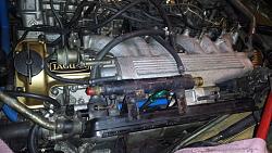Is my XJS the oldest here?-20140112_164141.jpg