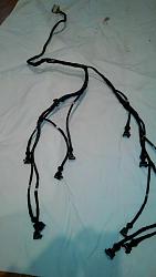 Rebult wiring harness-1623755_10153811149850165_1560971125_n.jpg