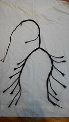 Rebult wiring harness-1551590_10153811150810165_1394500066_n.jpg