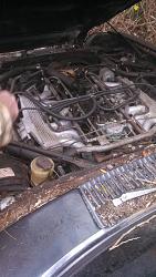 1976 XJS Project?-img_20140322_161113_832.jpg