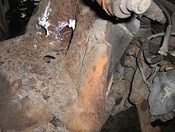 A slight touch of brown lace-img_1779.jpg