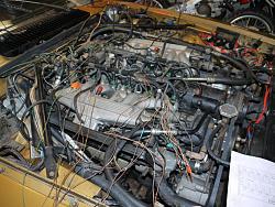 V12 fuel injection wire harness-motor.jpg