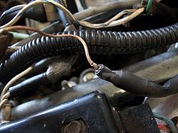 1984 jag xjs no start fuel in gas-100_2876.jpg