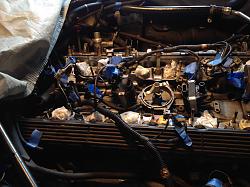 V12 fuel injection wire harness-marelli.jpg