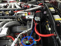 V12 fuel injection wire harness-img_1135.jpg