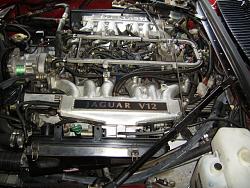 What's the best way to get your Engine Looking Awesome? XJS V12-engine-bay.jpg