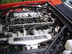 What's the best way to get your Engine Looking Awesome? XJS V12-engine-lh-pc.jpg