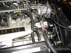 What's the best way to get your Engine Looking Awesome? XJS V12-rh-side-enj.jpg