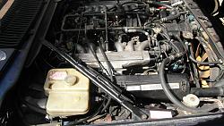 What's the best way to get your Engine Looking Awesome? XJS V12-2014-07-17-001.jpg