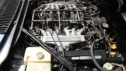 What's the best way to get your Engine Looking Awesome? XJS V12-2014-07-17-009.jpg
