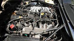 What's the best way to get your Engine Looking Awesome? XJS V12-2014-07-17-010.jpg