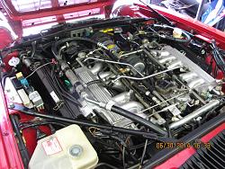 What's the best way to get your Engine Looking Awesome? XJS V12-img_1353.jpg