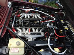 What's the best way to get your Engine Looking Awesome? XJS V12-img_1331.jpg