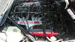 What's the best way to get your Engine Looking Awesome? XJS V12-2014-07-24-001.jpg
