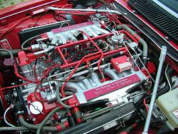 Favorite Vintage Year XJS?-dscf5880.jpg