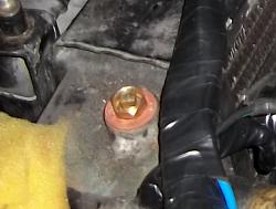 how does one properly burp the cooling system?-100_0969.jpg