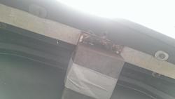 Anybody ever see these?-imag1056.jpg