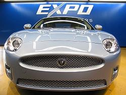 anyone know the part# for this?-jag-grill.jpg