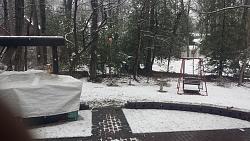 OMG what is this stuff.-20150320_112246.jpg