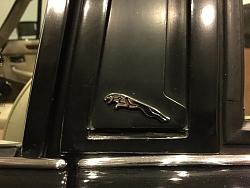 Tacky or Tasteful Leaper-img_4630.jpg