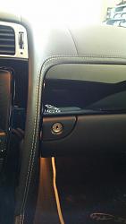 Tacky or Tasteful Leaper-20150429_130950_resized.jpg
