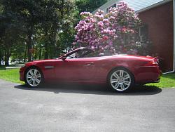 Official Jaguar XK/XKR Picture Post Thread-dsc00133.jpg