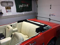 Parade time coming-topless-mustang.jpg