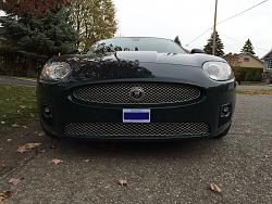 The front plate debate.-img_1754.jpg