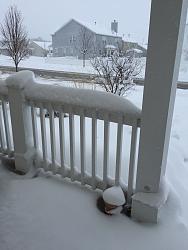 Sad day-img_0823.jpg