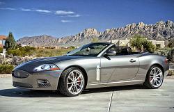 What Say You All?-dsc_0002.jpg