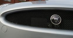 Black Pack front grilles-img_0451.jpg