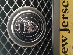 Cracked grill growler-replaced-image.jpeg