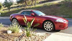 Official Jaguar XK/XKR Picture Post Thread-20160625_182820_resized.jpg