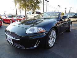New owner.-4.jpg
